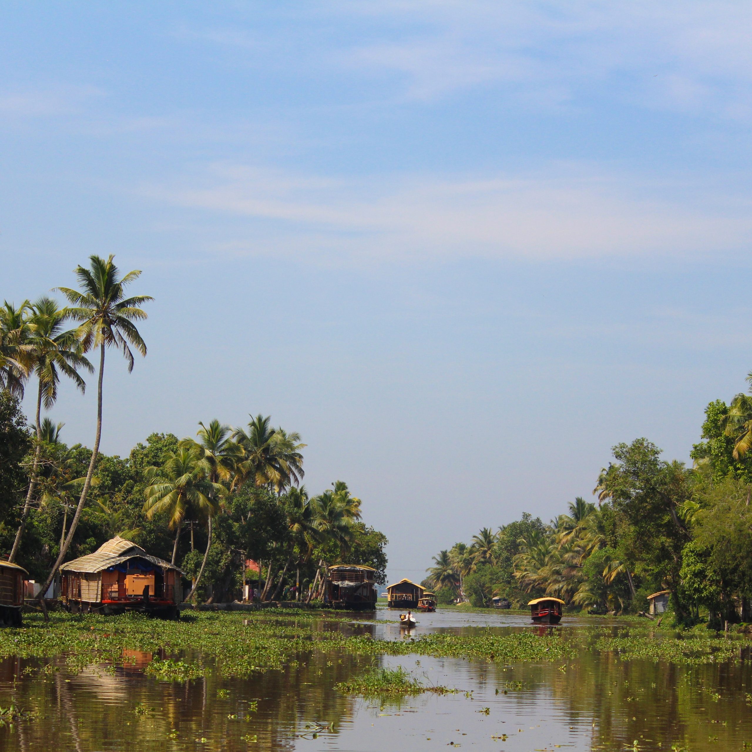 DAY 5 Alleppey – Cochin ( 90 kms)